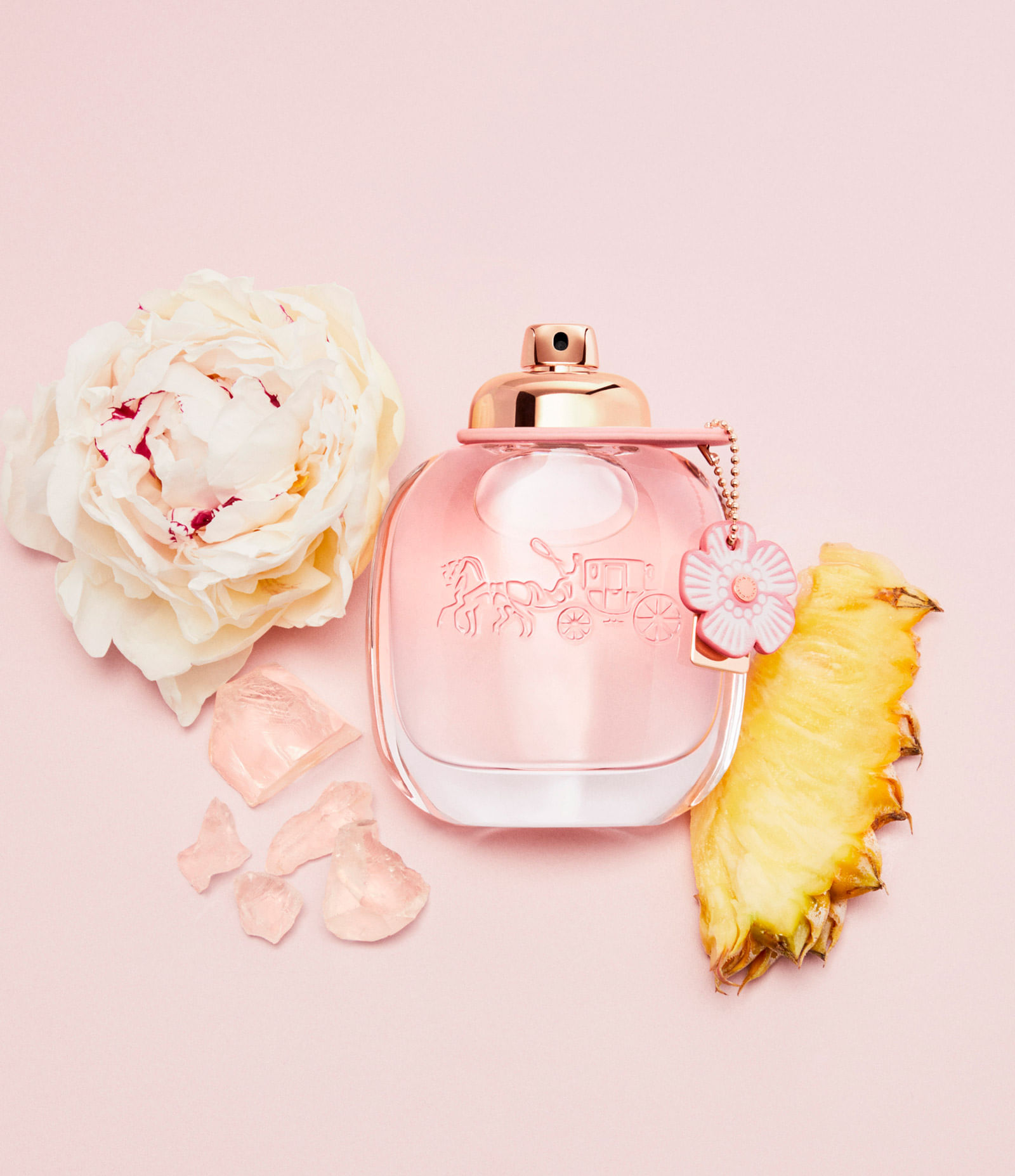 Coach Floral - JustClick - Mobile