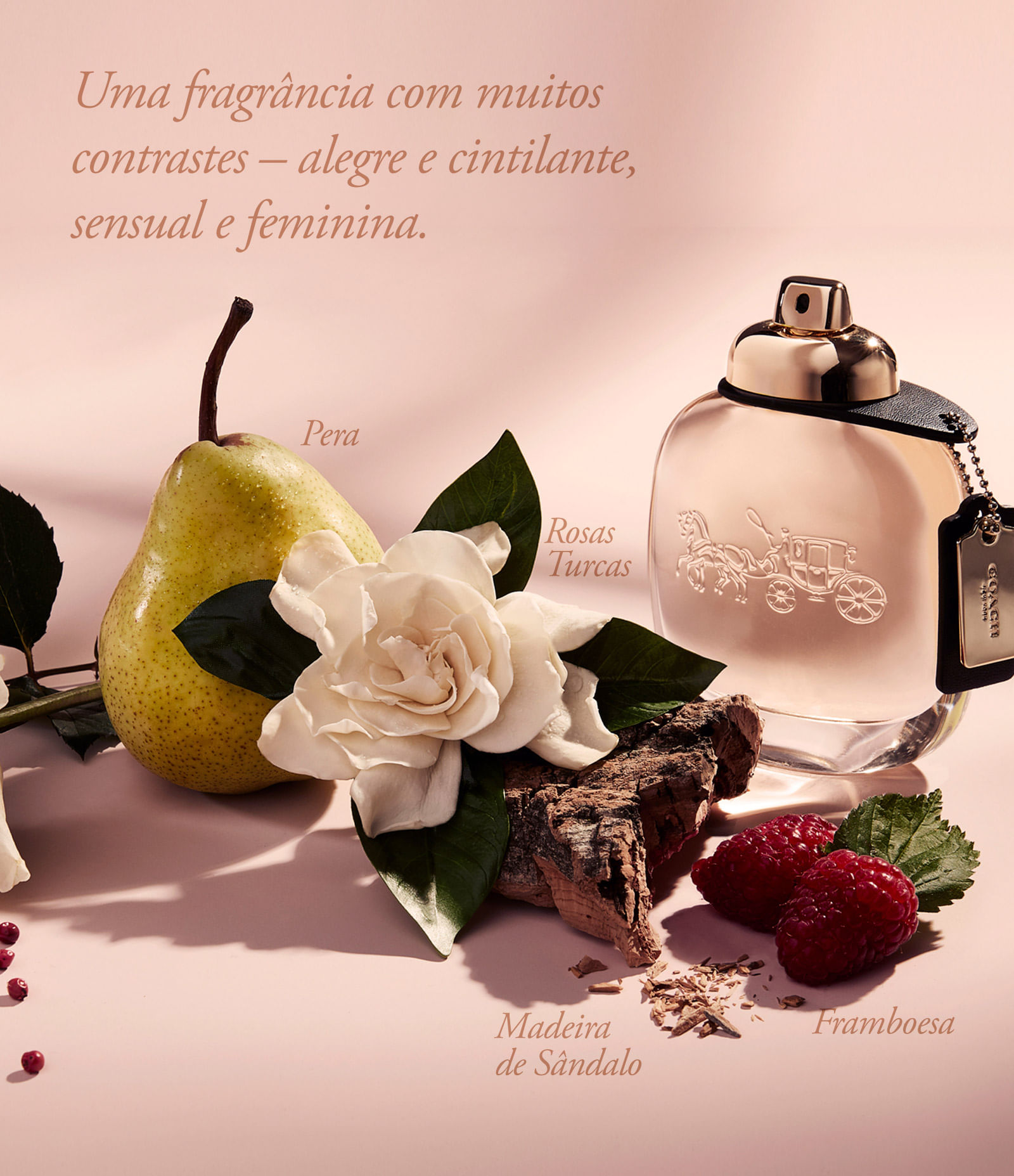 coach bolsa strawberry