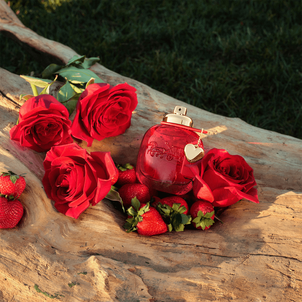 Love Eau De Parfum Bolsa Coach Love Perfume Coach Love EDP Feminino